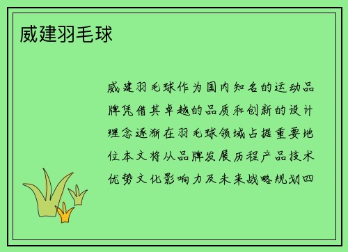 威建羽毛球