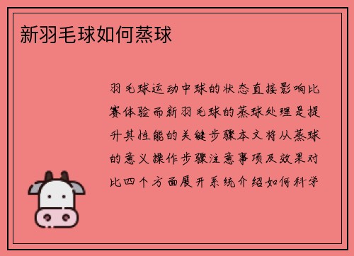 新羽毛球如何蒸球
