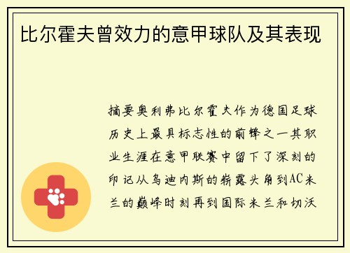 比尔霍夫曾效力的意甲球队及其表现